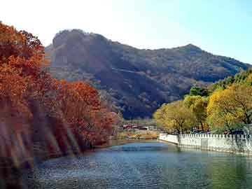 中国奶茶，茅山鬼道